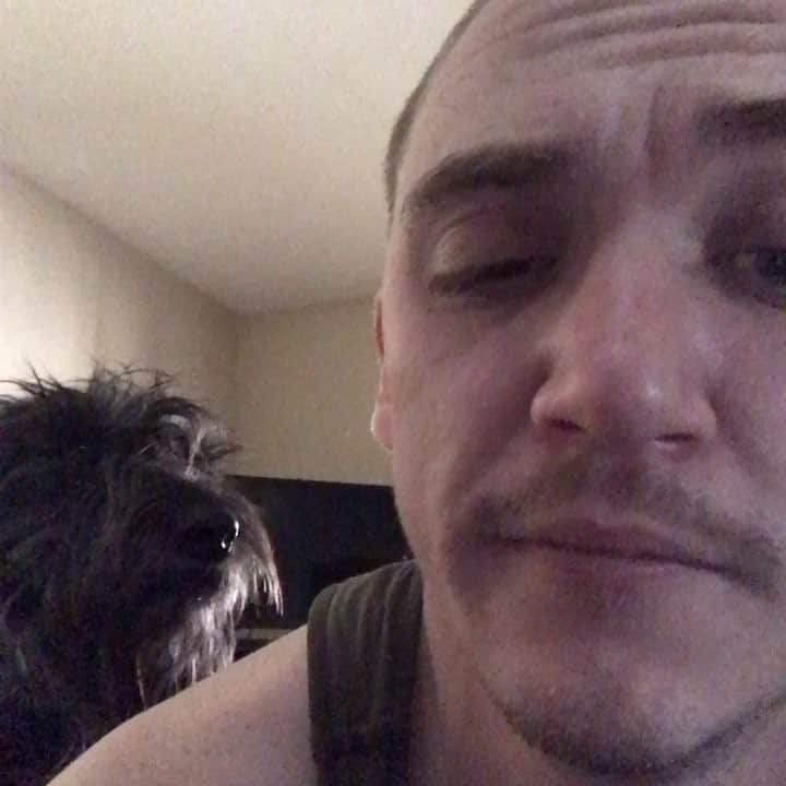 カイル・ガルナーのインスタグラム：「Muppet dog wants me to get up and will not take no for an answer.....#dog #dogsofinstagram」