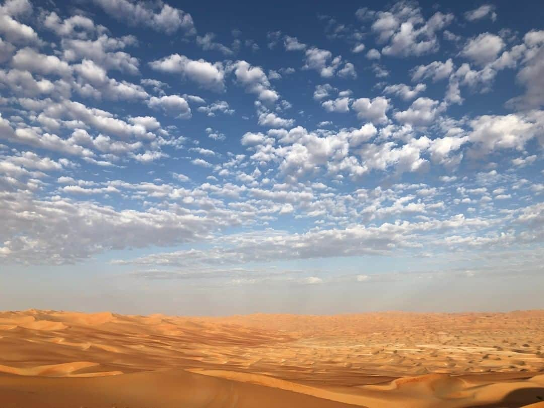 ナショナルジオグラフィックさんのインスタグラム写真 - (ナショナルジオグラフィックInstagram)「Photo by @enricsala | The northern part of the Rub’ al Khali (the Empty Quarter) in Abu Dhabi is nothing but empty. It is the largest contiguous sand desert in the world, inhabited by a complex ecosystem including plants, beetles, sand boas, sand cats, gazelles, and the mythical Arabian oryx, which became extinct in the wild, but thanks to an extremely successful reproduction and reintroduction program is back in the thousands. A wonderful example of rewilding that inspires us to protect 30 percent of the planet by 2030. #campaignfornature @environmentabudhabi」3月18日 1時22分 - natgeo