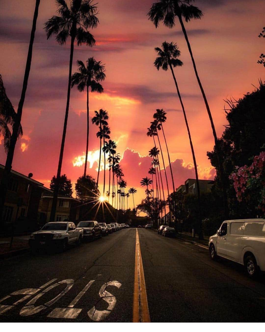 scottlippsさんのインスタグラム写真 - (scottlippsInstagram)「Mornings like this.... summers coming #sunday 📷 @tiffanysbell #weekends #cali」3月18日 1時40分 - scottlipps