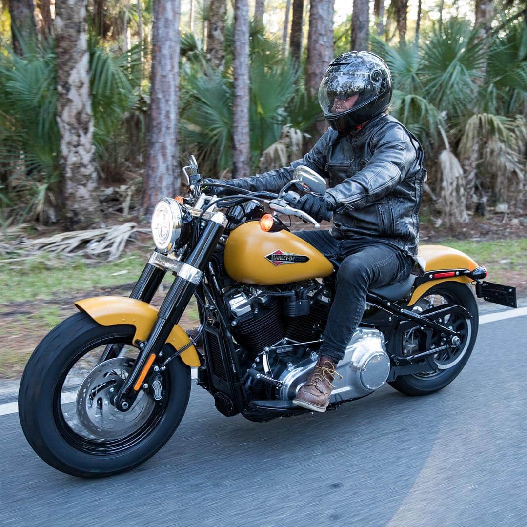 Harley-Davidsonさんのインスタグラム写真 - (Harley-DavidsonInstagram)「Bikes, beaches, boards, and more during #DaytonaBikeWeek 2019. 🌴 🤙  #HarleyDavidson #FindYourFreedom」3月18日 3時06分 - harleydavidson
