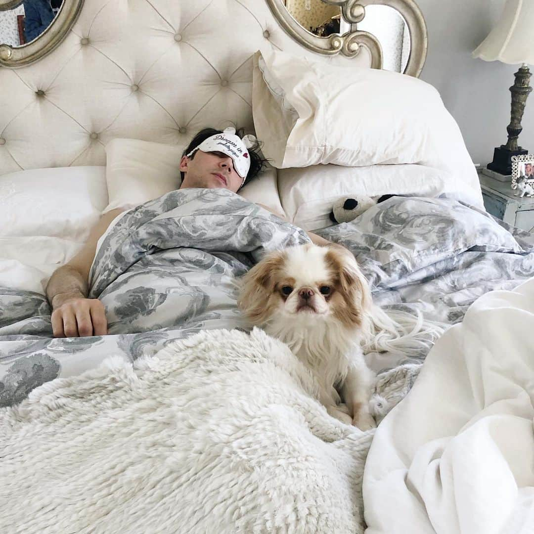 ジョニー・ウィアーさんのインスタグラム写真 - (ジョニー・ウィアーInstagram)「Sick in bed for almost 24 hours now. Тёма apparently not letting anyone near me. | #sickday #japanesechin #fluffy」3月18日 3時42分 - johnnygweir