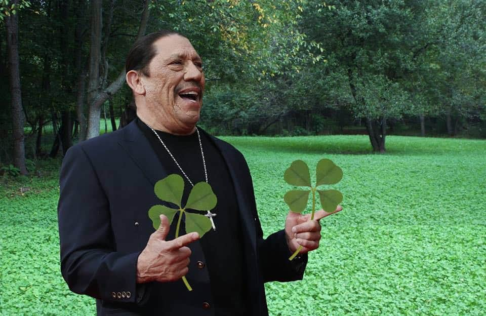 ダニー・トレホさんのインスタグラム写真 - (ダニー・トレホInstagram)「The harder you work, the luckier you get! Happy #StPatricksDay . . . #happystpatricksday #lucky #dannytrejo #machete #green」3月18日 4時18分 - officialdannytrejo