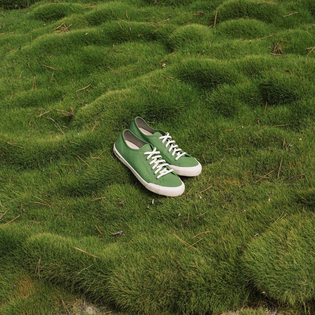 シービーズのインスタグラム：「In honor of Saint Patrick’s Day, we’re sharing a rundown of some of our favorite green styles ☘️」