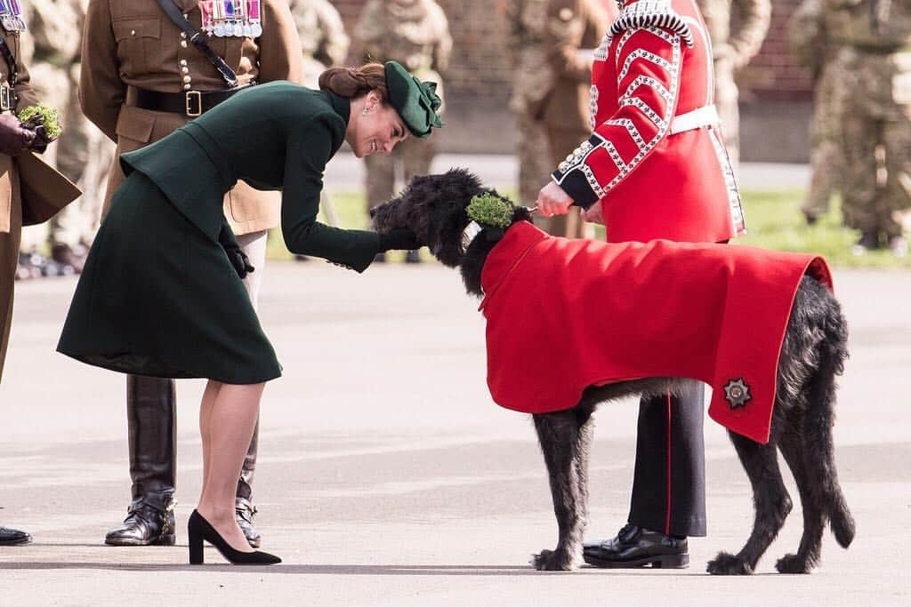 NBC Newsさんのインスタグラム写真 - (NBC NewsInstagram)「Catherine, Duchess of Cambridge attends the 1st Battalion #Irish Guards #StPatricksDay Parade at Cavalry Barracks. . 📷 Jeff Spicer / @gettyimages」3月18日 4時52分 - nbcnews