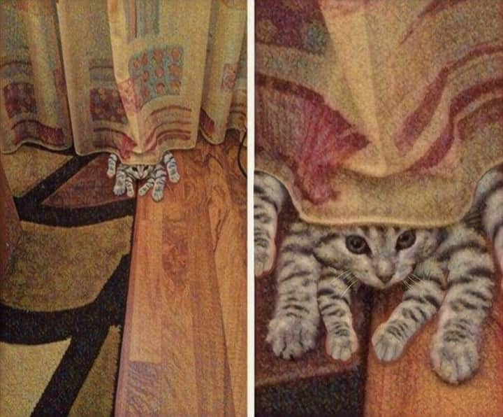 9GAGさんのインスタグラム写真 - (9GAGInstagram)「Spider-cat⠀ @meowed #cat #9gag」3月18日 5時00分 - 9gag