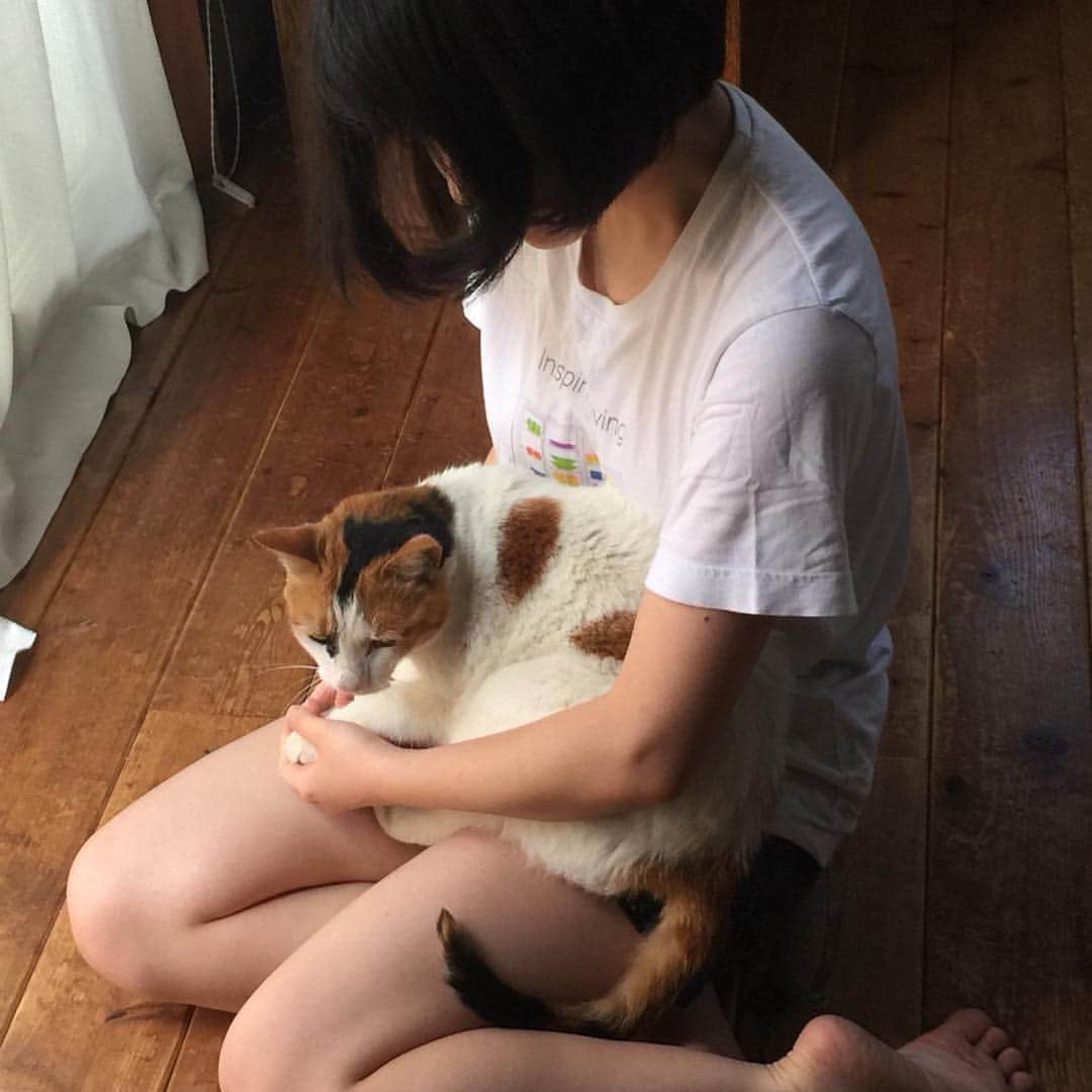 根本凪のインスタグラム：「愛猫のさくらが、 天国に旅立ちました。  学校に行けなかったとき、 病院帰りでしんどかったとき、寄り添ってくれていたさくら。  家族に迎え入れてから、 私がすぐに上京してしまって。  どうしたら東京で一緒に暮らせるか、ずっと考えていたのに、 なんでもっと早く一緒に暮らせる環境を作れなかったのか。  後悔しかなくて、 幸せにしてあげられなくてごめんね という気持ちでいっぱいです。  今朝、お墓参りに行ってきました。 帰りに花束を買い、 近所の方から花束をいただき、 さくらにお供えすると ようやくじわじわと実感が湧いてきて 悲しくてたまらないです。  6年間、一緒にいれた時間は 宝物です。  さくら、 本当にありがとうね。」