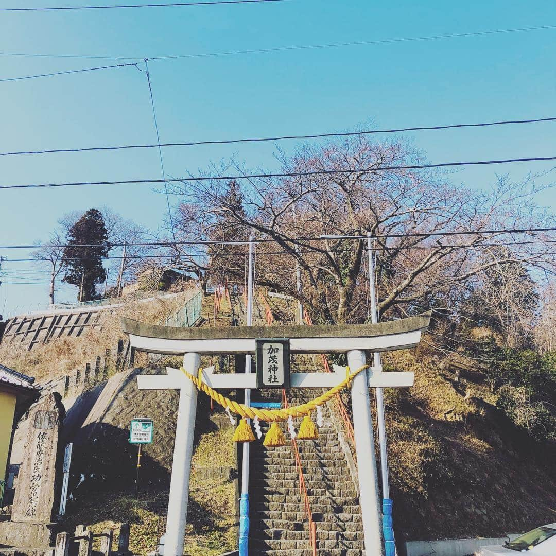 IKEさんのインスタグラム写真 - (IKEInstagram)「大船渡散歩🚶‍♂️ 海は壁に囲まれていた。  神社の高台でやっと少し海が見える。」3月18日 14時32分 - ike1984official