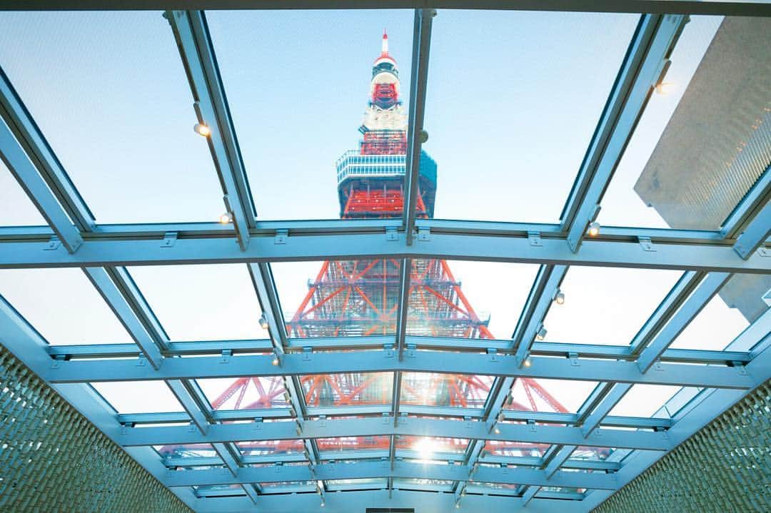 東京タワーの麓の結婚式さんのインスタグラム写真 - (東京タワーの麓の結婚式Instagram)「🗼♡ チャペルの天井から見える 東京タワーは正に絶景🗼💕 . ガラス張りの天窓から、 太陽のあたたかい光が差し込んで、 お二人を優しく照らします。 . 詳細は➡︎(@theplaceoftokyo)まで♡ . #theplaceoftokyo #ザプレイスオブトウキョウ #プレイスオブトウキョウ #東京タワー #東京タワー🗼 #東京タワーで結婚式 #東京タワーが好き #インスタジェニック婚 #tokyotower #wedding #ウェディング #プレ花嫁 #卒花嫁 #2019年春婚 #2019夏婚 #2019秋婚 #2019冬婚 #結婚式準備 #結婚式場探し #式場探し #東京花嫁 #関東プレ花嫁 #日本中のプレ花嫁さんと繋がりたい #イルミネーション #東京タワー見える #東京タワーの真下」3月18日 14時35分 - theplaceoftokyo
