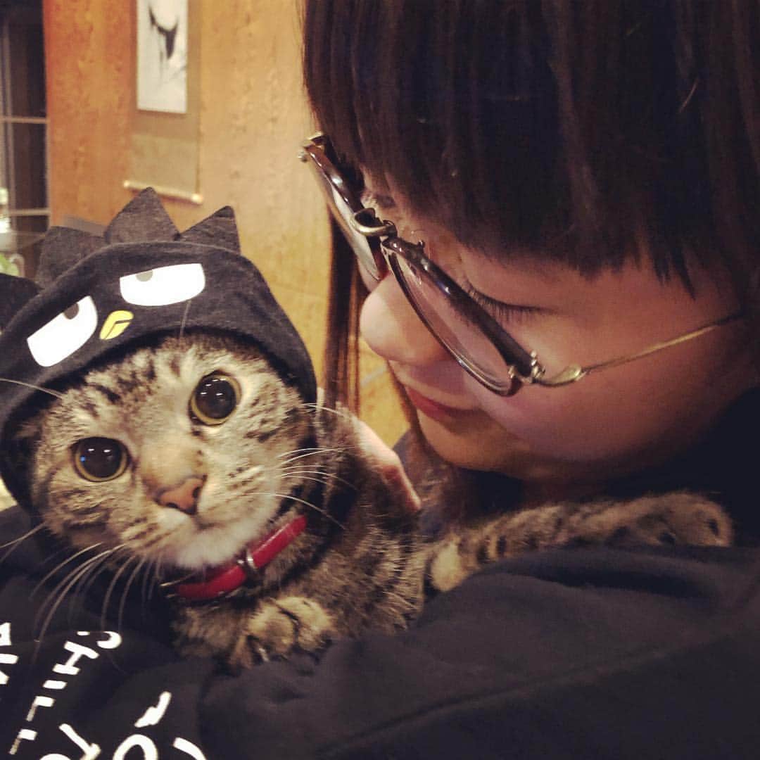 田中杏子さんのインスタグラム写真 - (田中杏子Instagram)「娘がベニのために買ってきたネコ用の帽子。って、ネコ的には、そんなもん被らんわい！だろうから、被せた間も、眼をクルクルさせて早く終わらないかなーって表情のところをパチリ。  可愛すぎる。  #akotanaka #ネコは帽子とかかぶらないから #beni_neko  #neko」3月18日 14時41分 - akoakotanaka