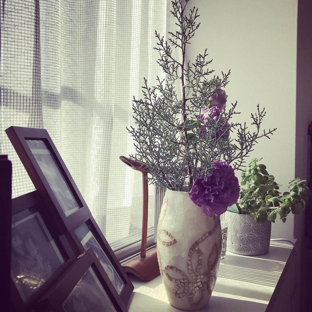 松本英子さんのインスタグラム写真 - (松本英子Instagram)「花器が欲しいな... でっかいの。  春だから、 やっぱり、 お花を欲する🌼  #flower #green #gardening #myhome #spring #herb」3月18日 14時56分 - matsumoto__eiko