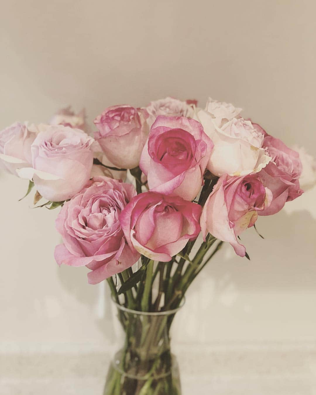 永尾まりやさんのインスタグラム写真 - (永尾まりやInstagram)「#サイゾー #cyzo #covergirl インパクトがありますが皆様是非…🌹 ついでに私の家にあるお花も投稿🌹 . . #flower #pink」3月18日 15時10分 - mariyagi_san