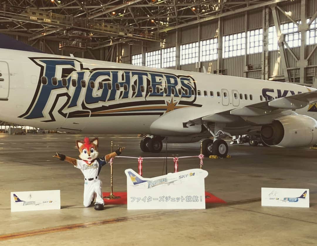 北海道日本ハムファイターズ フレップさんのインスタグラム写真 - (北海道日本ハムファイターズ フレップInstagram)「. 北海道の誇りを胸に、いざ大空へ🛫 3月19日に就航するスカイマークの「ファイターズジェット」がいよいよお披露目されたよ✨✨ なんと機体の左側にはでっかくオレの姿が🤣‼️ 北海道から全国へ&全国から北海道へ向かう沢山のみんなの力になれたら嬉しいなっ🌠  #スカイマーク #ファイターズジェット #lovefighters #驀進 #飛び出せ新時代 #フレップ」3月18日 15時42分 - frep_the_fox