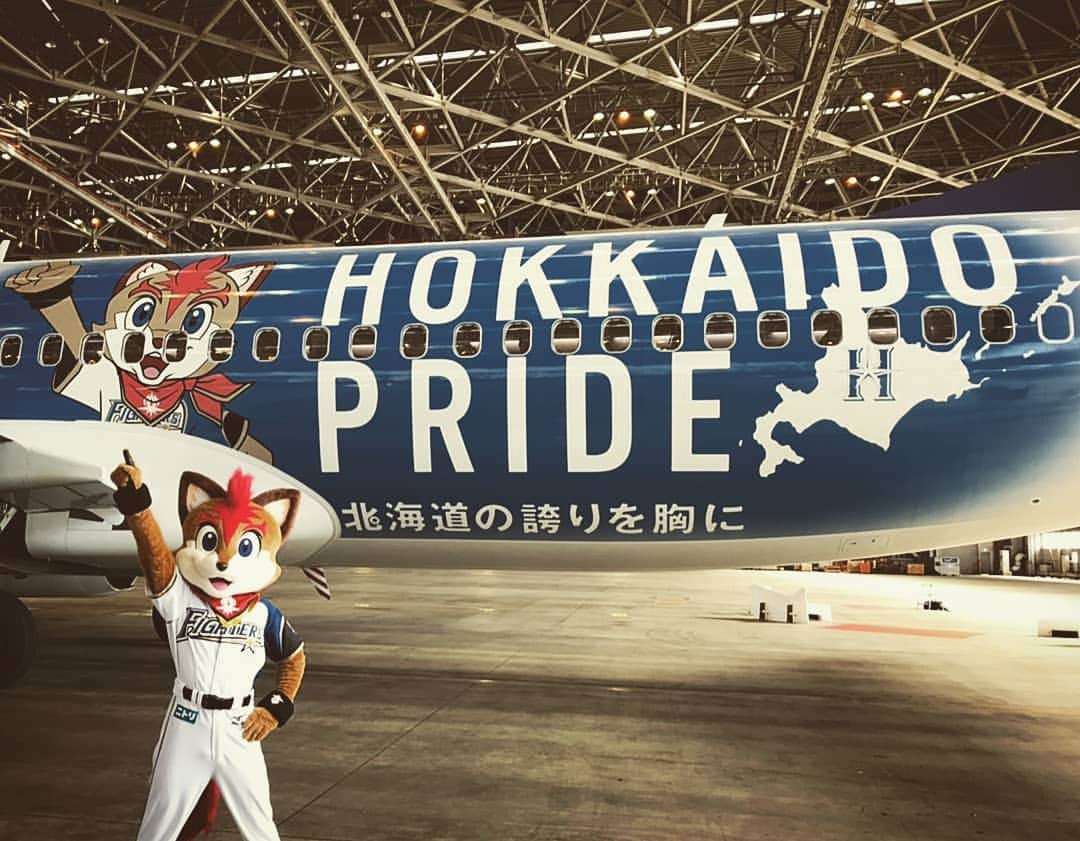 北海道日本ハムファイターズ フレップのインスタグラム