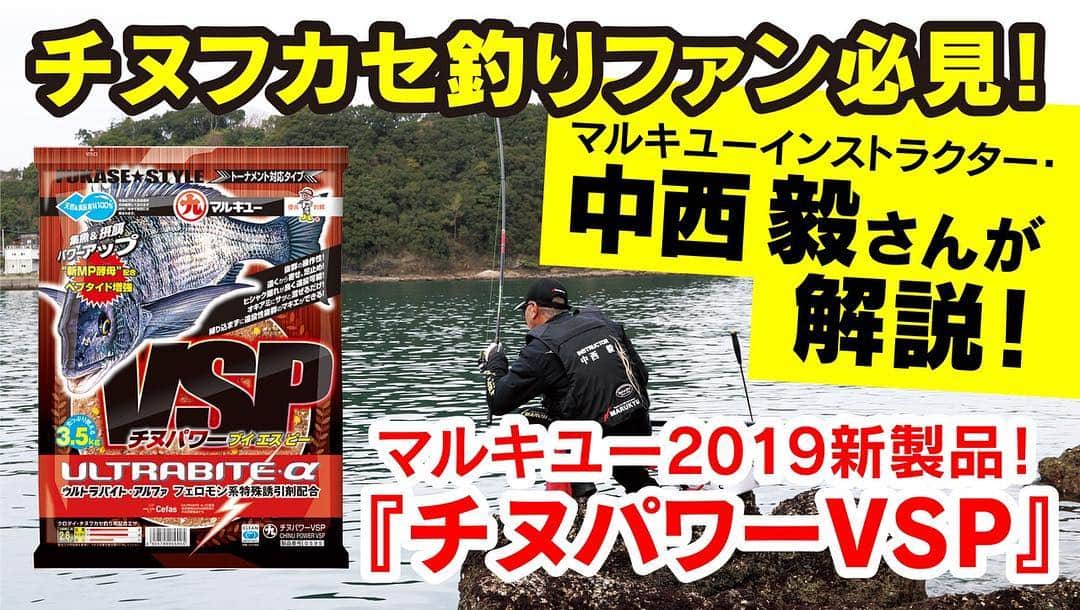 レジャーフィッシングさんのインスタグラム写真 - (レジャーフィッシングInstagram)「久しぶりに、動画配信（YouTube：レジャーフィッシング the Movie）です。  https://www.youtube.com/watch?v=dj91tjFkRVs&feature=share  チヌフカセ名手・中西毅さんにマルキユー2019新製品のチヌフカセ配合エサ『チヌパワーVSP』を解説していただきました！  発売中のレジャーフィッシング4月号にも掲載です！  #マルキユー #老舗釣りエサメーカー @instamarukyu  #チヌ #フカセ #中西毅 さん #がまかつ #東レ #ソルブレ #高知県 #宿毛市 #動画もがんばらねば！」3月18日 15時45分 - leisurefishing