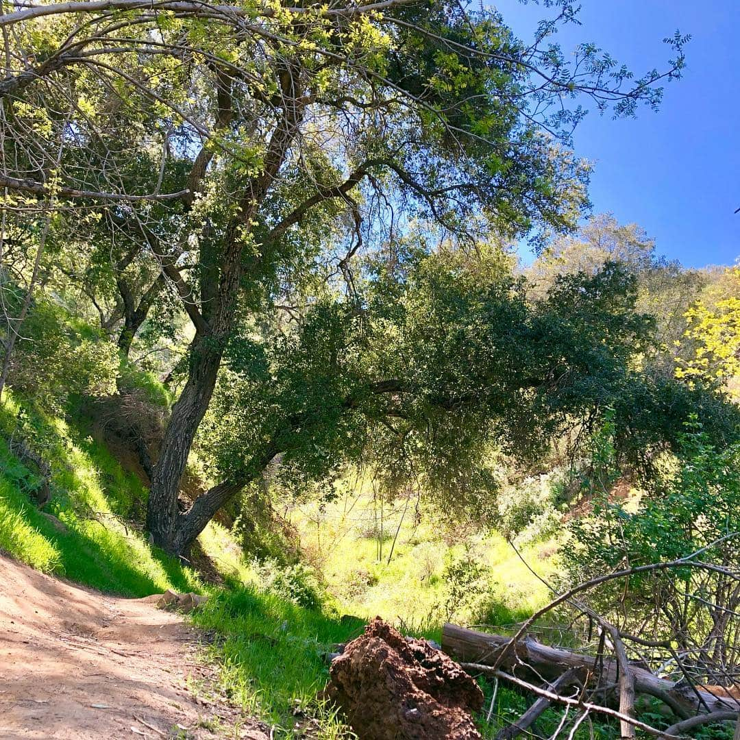 ケイティー・ルクレールさんのインスタグラム写真 - (ケイティー・ルクレールInstagram)「Went searching for some 4 leaf clovers today and jumped over a snake on the trail instead!」3月18日 6時51分 - katieleclerc