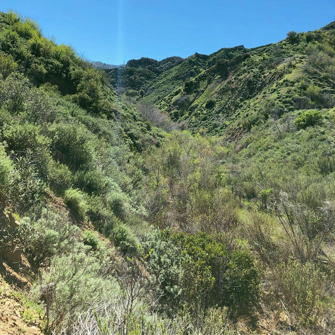 ケイティー・ルクレールさんのインスタグラム写真 - (ケイティー・ルクレールInstagram)「Went searching for some 4 leaf clovers today and jumped over a snake on the trail instead!」3月18日 6時51分 - katieleclerc