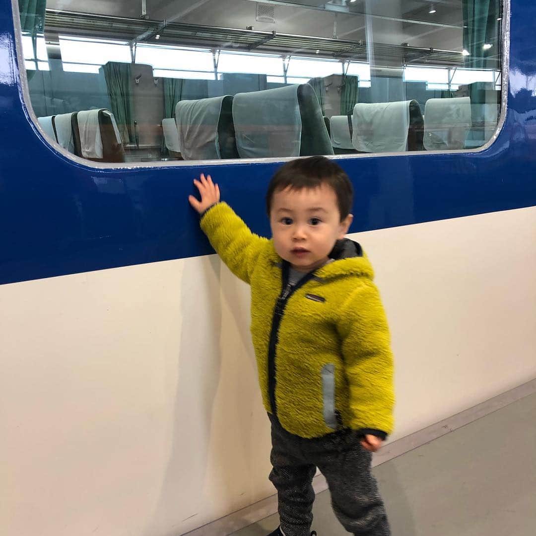 珠華ゆふさんのインスタグラム写真 - (珠華ゆふInstagram)「昨日は京都鉄道博物館へ^_^ 電車より新幹線が大好きみたい🚄 今までは新幹線の事をなぜか「ハッケッケー」と言ってたのですが、家に帰ると「しんかんせん」と言えるようになっていました‼️ 電車見ながらご飯食べて贅沢だねぇ^_^」3月18日 7時20分 - yufu_tamahana