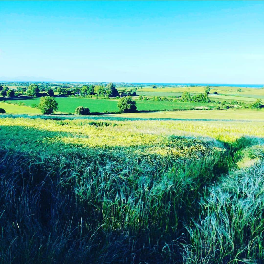 ダン・ブカティンスキーさんのインスタグラム写真 - (ダン・ブカティンスキーInstagram)「Happy St Patrick’s Day!  From Drogheda Ireland.  Well.  I’m not there now. But I was. And I’m feeling it today.」3月18日 7時30分 - danbucatinsky