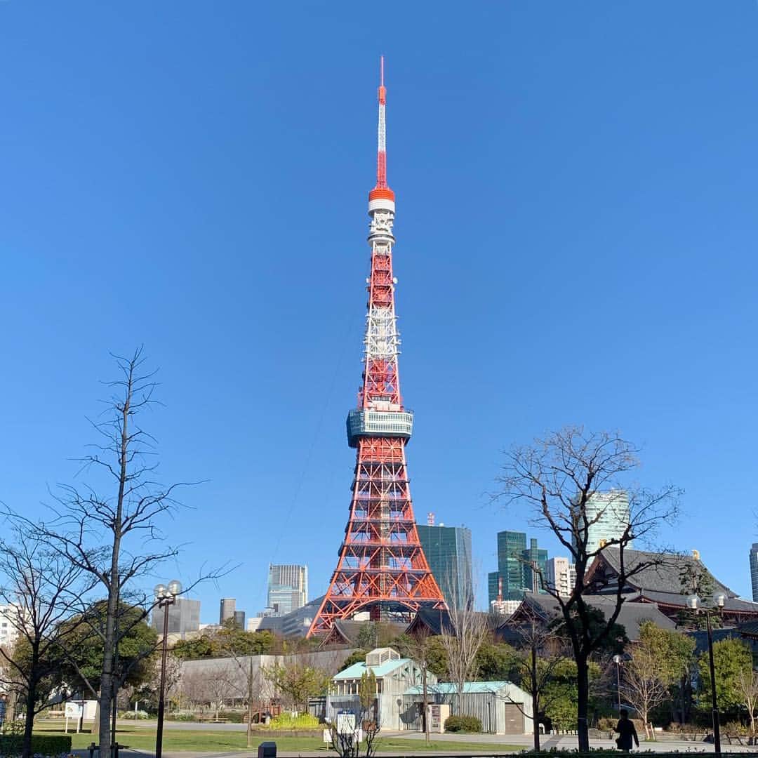 のインスタグラム：「たわ！ #🗼 #tokyotower #東京タワー #芝公園 #増上寺 #zojoji #shibapark #tokyo_instagram #blueskyblue #本日は晴天なり #晴天 #快晴 #青空」