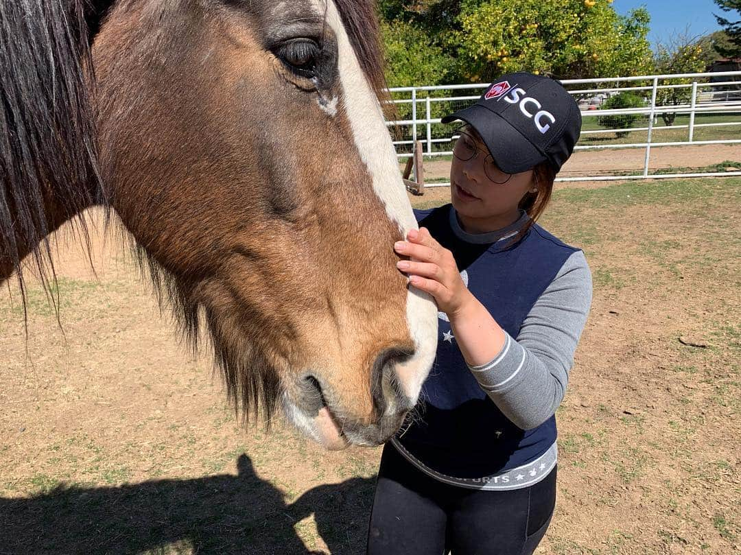 モリヤ・ジュタヌガーンさんのインスタグラム写真 - (モリヤ・ジュタヌガーンInstagram)「Got my new friend today. He is a bit stubborn but we get a long.😄😄 🏇🏼🏇🏼#horse #momoriya」3月18日 8時35分 - mo_moriya