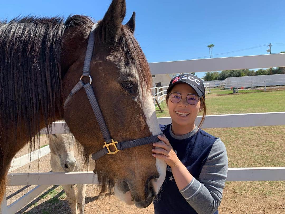 モリヤ・ジュタヌガーンさんのインスタグラム写真 - (モリヤ・ジュタヌガーンInstagram)「Got my new friend today. He is a bit stubborn but we get a long.😄😄 🏇🏼🏇🏼#horse #momoriya」3月18日 8時35分 - mo_moriya