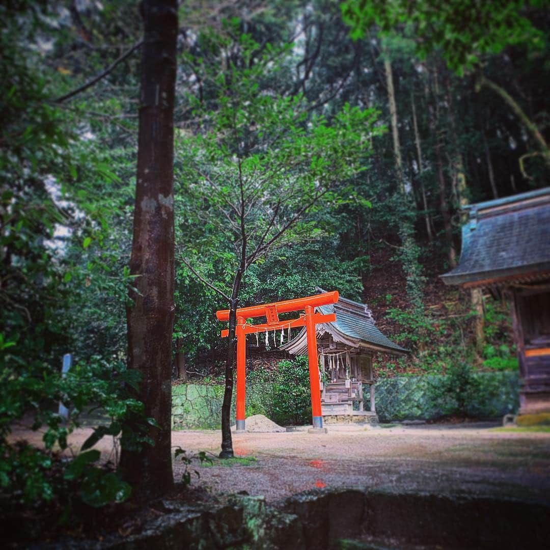 石田昌宏さんのインスタグラム写真 - (石田昌宏Instagram)「#unknownjapan」3月18日 8時36分 - masahiro_ishida_