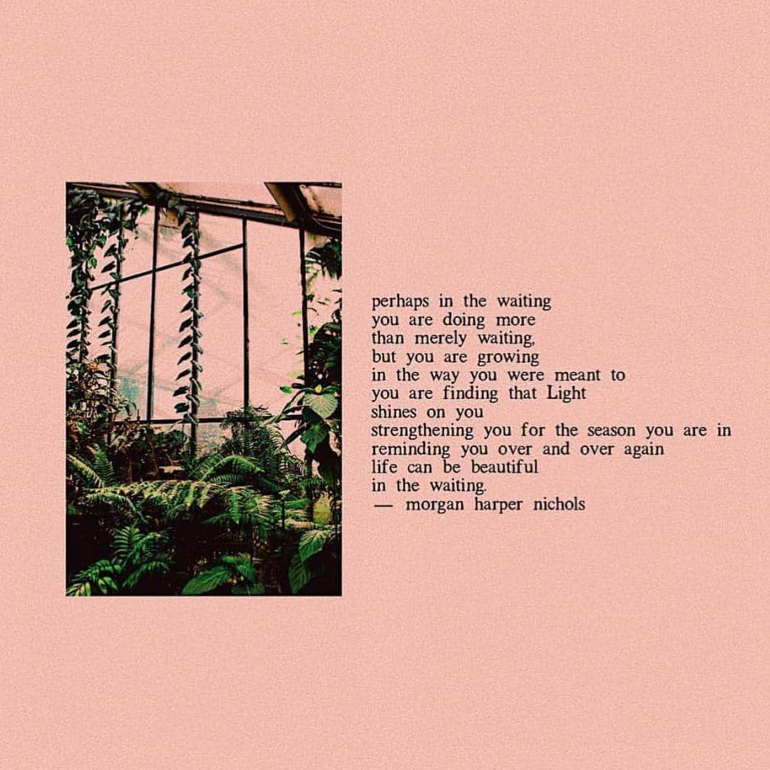 Grace Bonneyさんのインスタグラム写真 - (Grace BonneyInstagram)「As always, @morganharpernichols ‘ work makes me feel hopeful when I need it most.」3月18日 8時52分 - designsponge