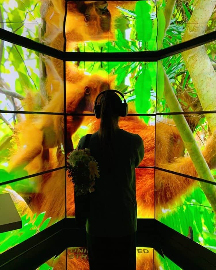 梅園アマンダのインスタグラム：「蟻が木の上を歩く音🌳🐜💨，動物同士がくっつき合う音🐒🐒🐒，色んな音が鮮明に聞こえました。今思い返すと、聞けることなんて中々無いし、生まれて初めて聞く音だったのかもしれない。 . #SXSW #DELL」