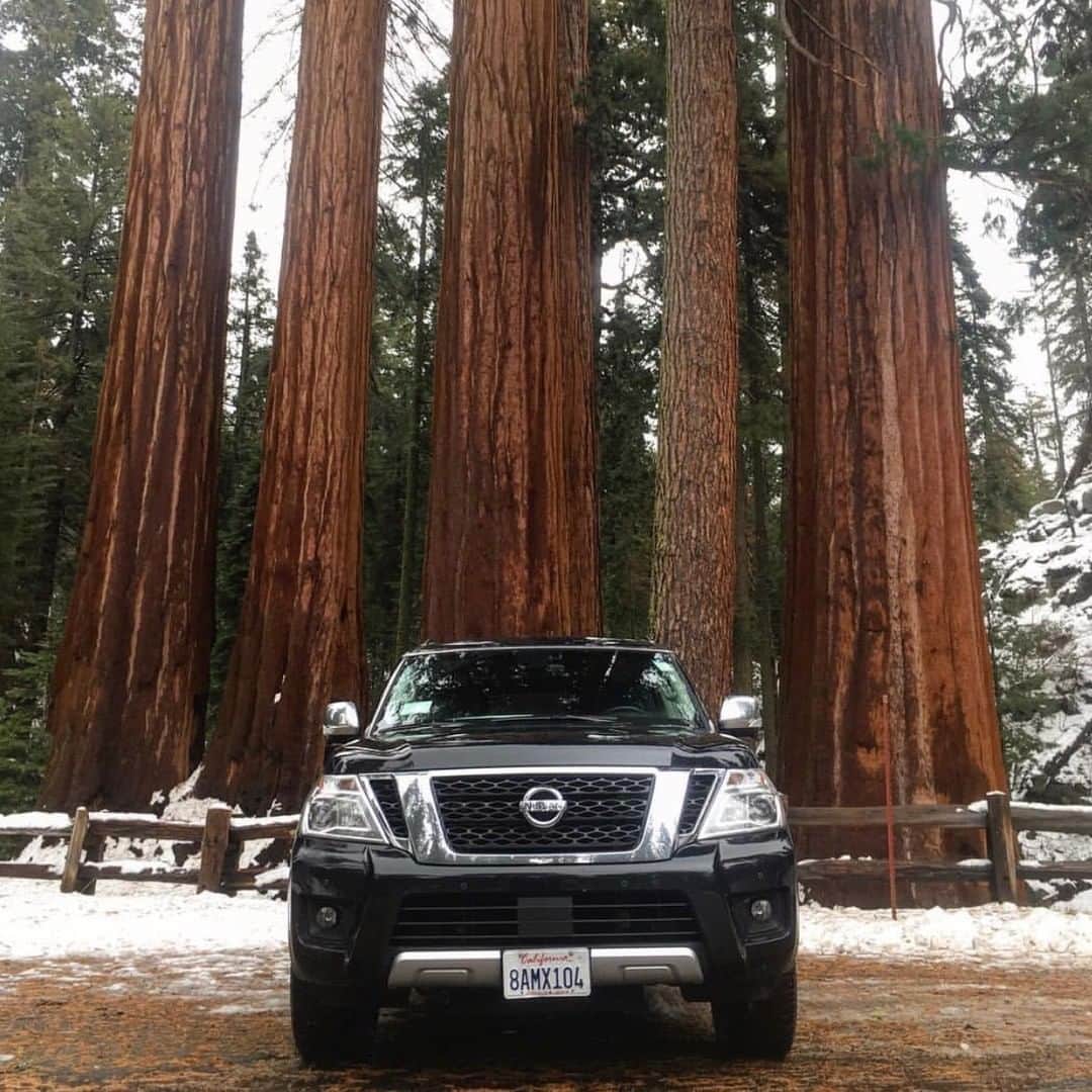 のインスタグラム：「Giants amongst Giants. #NissanArmada #Nissan #Armada 📷&🚗: @tvrdyvdolek」