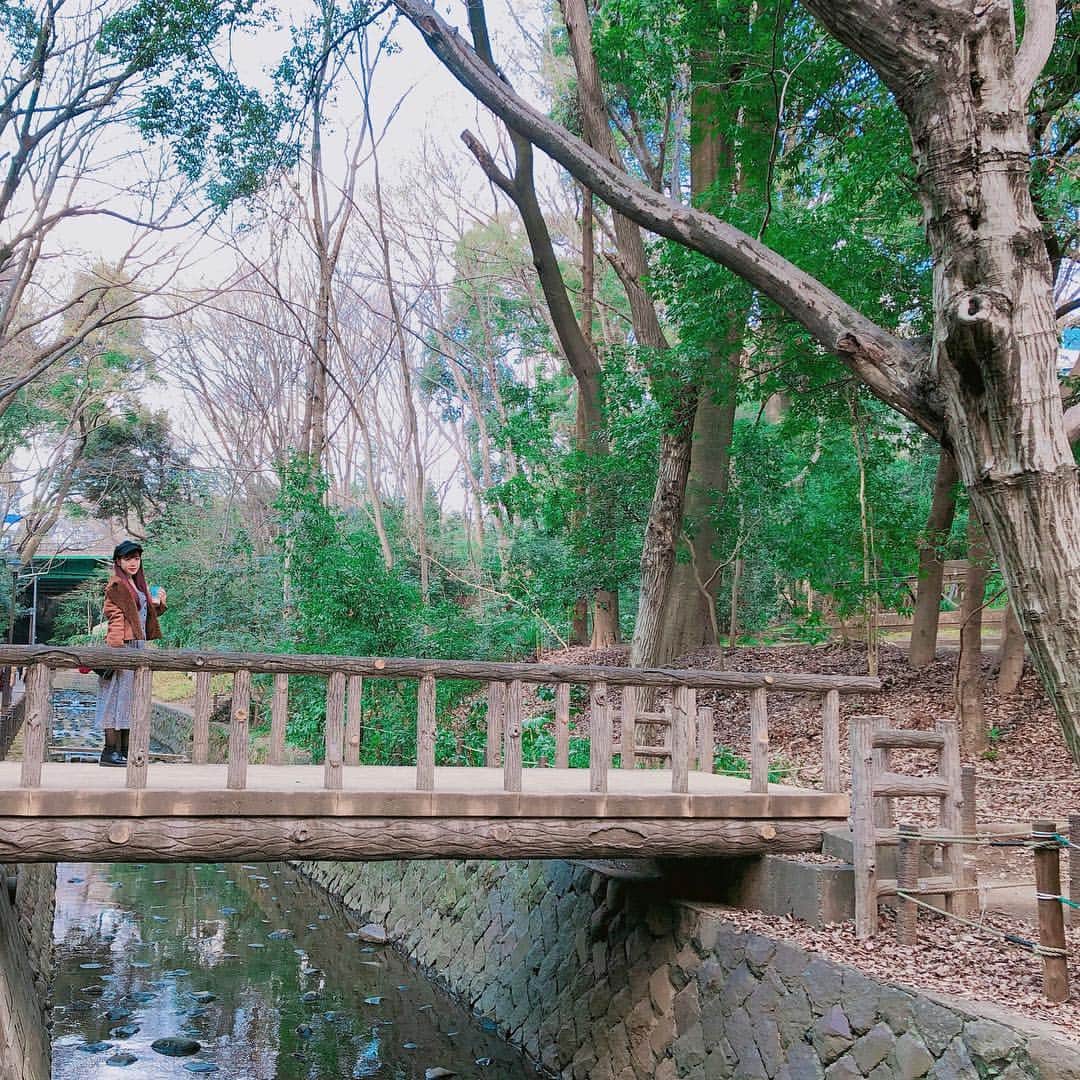 桜野羽咲さんのインスタグラム写真 - (桜野羽咲Instagram)「☁︎﻿ ﻿ ﻿ うーちゃんと お散歩﻿ ﻿ めずらしく たくさん歩いたよ﻿っ ﻿ ﻿ ﻿ ﻿ ﻿ ﻿ #nature #river #green #bridge #japan #tokyo #japanesegirl #girl #spring #fashion #tbt #渓谷 #川 #自然 #タピオカ #散歩 #動画 #動くうーちゃん」3月18日 10時10分 - sakuranousa