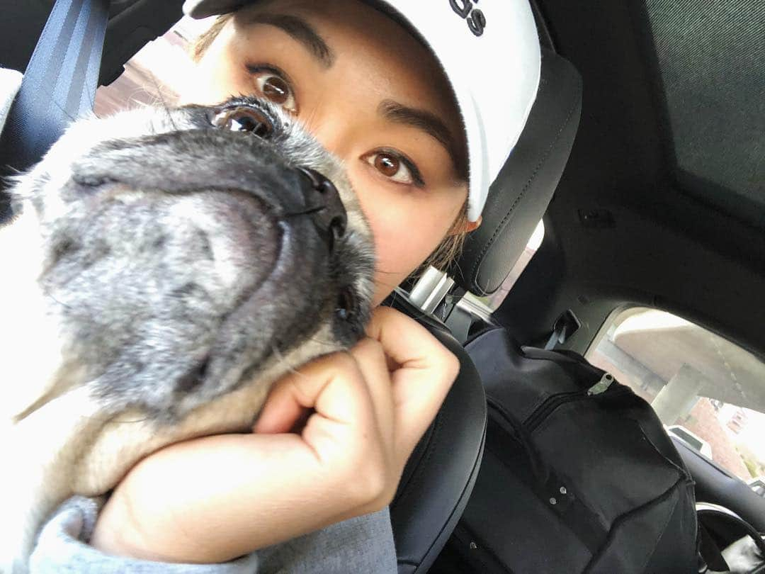 ダニエル・カングさんのインスタグラム写真 - (ダニエル・カングInstagram)「Booda Love 🐾」3月18日 10時26分 - daniellekang