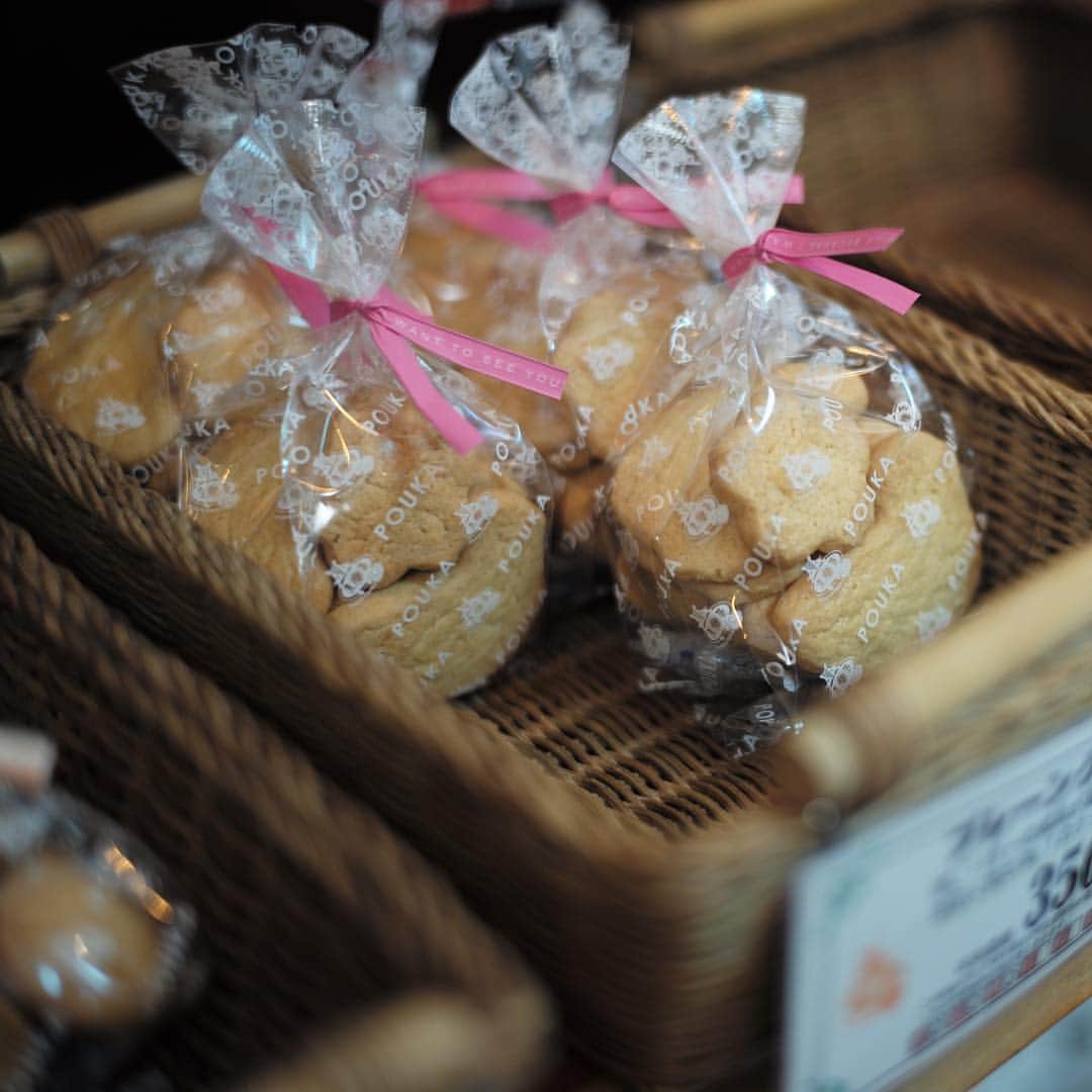 木本泉さんのインスタグラム写真 - (木本泉Instagram)「- @chikakokimoto が大好物のクッキーを買いに🍪﻿ ﻿ なのに1番好きなチョコチップクッキーは完売💦﻿ 12時前に行ったのにな😭﻿ ﻿ また次回のお楽しみに。﻿ ﻿ 今日はプレーンとチーズを購入💓﻿ ﻿ #京都#kyoto#京都菓子#烹菓#荒神口」3月18日 16時01分 - izumikimoto