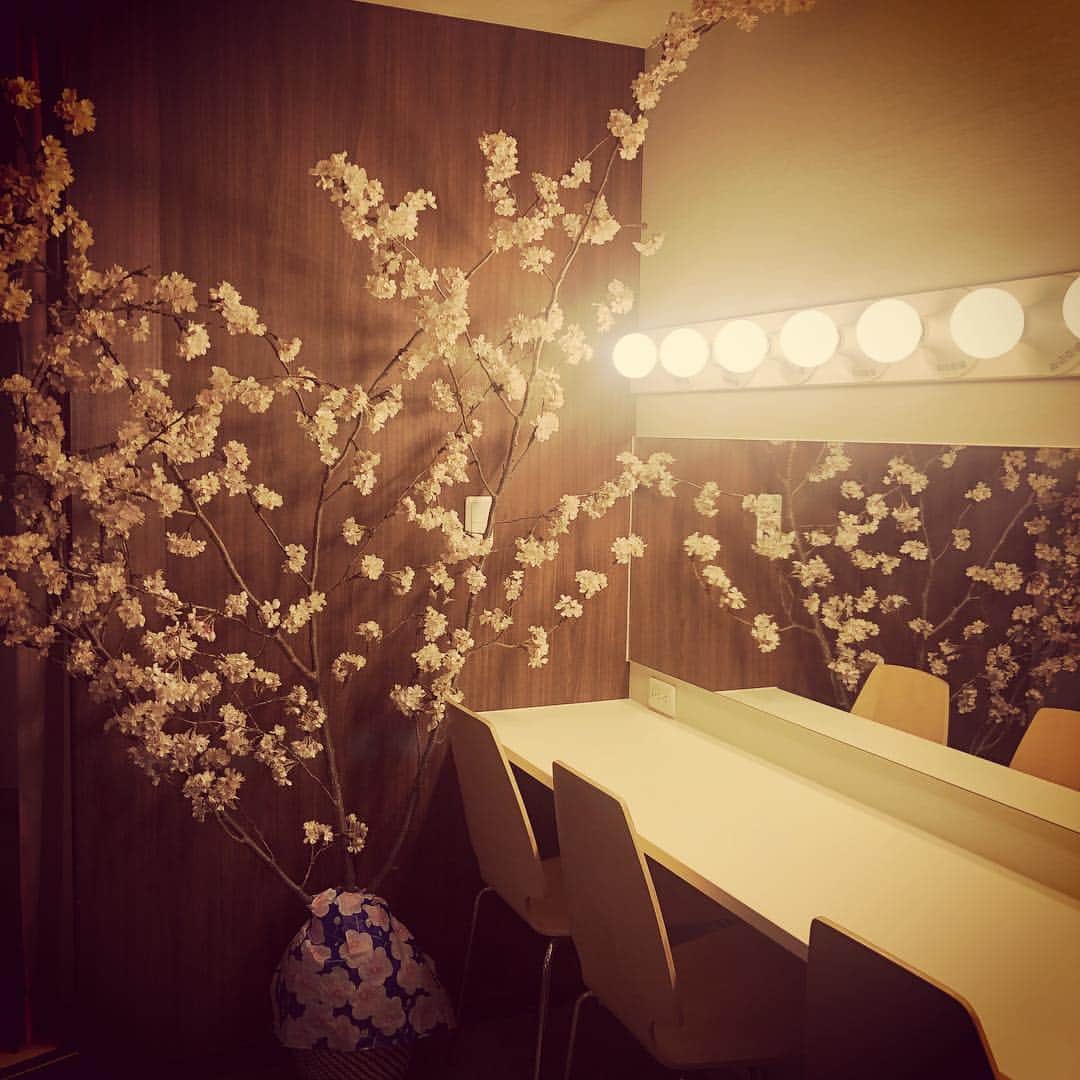 千吉良恵子さんのインスタグラム写真 - (千吉良恵子Instagram)「#スタジオのメイクルームに #桜満開🌸🌸🌸 #素敵な演出をありがとうございます #先取り❣️」3月18日 10時51分 - chigirakeiko