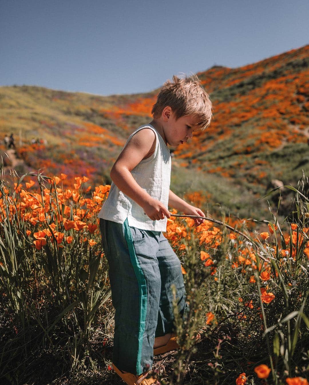 Amber Fillerup Clarkさんのインスタグラム写真 - (Amber Fillerup ClarkInstagram)「Poppy overload 🧡 *we were always on a path or dirt patch even if the angle of the photo makes it look like we aren’t」3月18日 11時33分 - amberfillerup