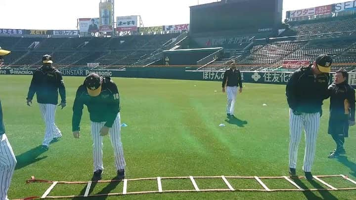 阪神タイガースのインスタグラム