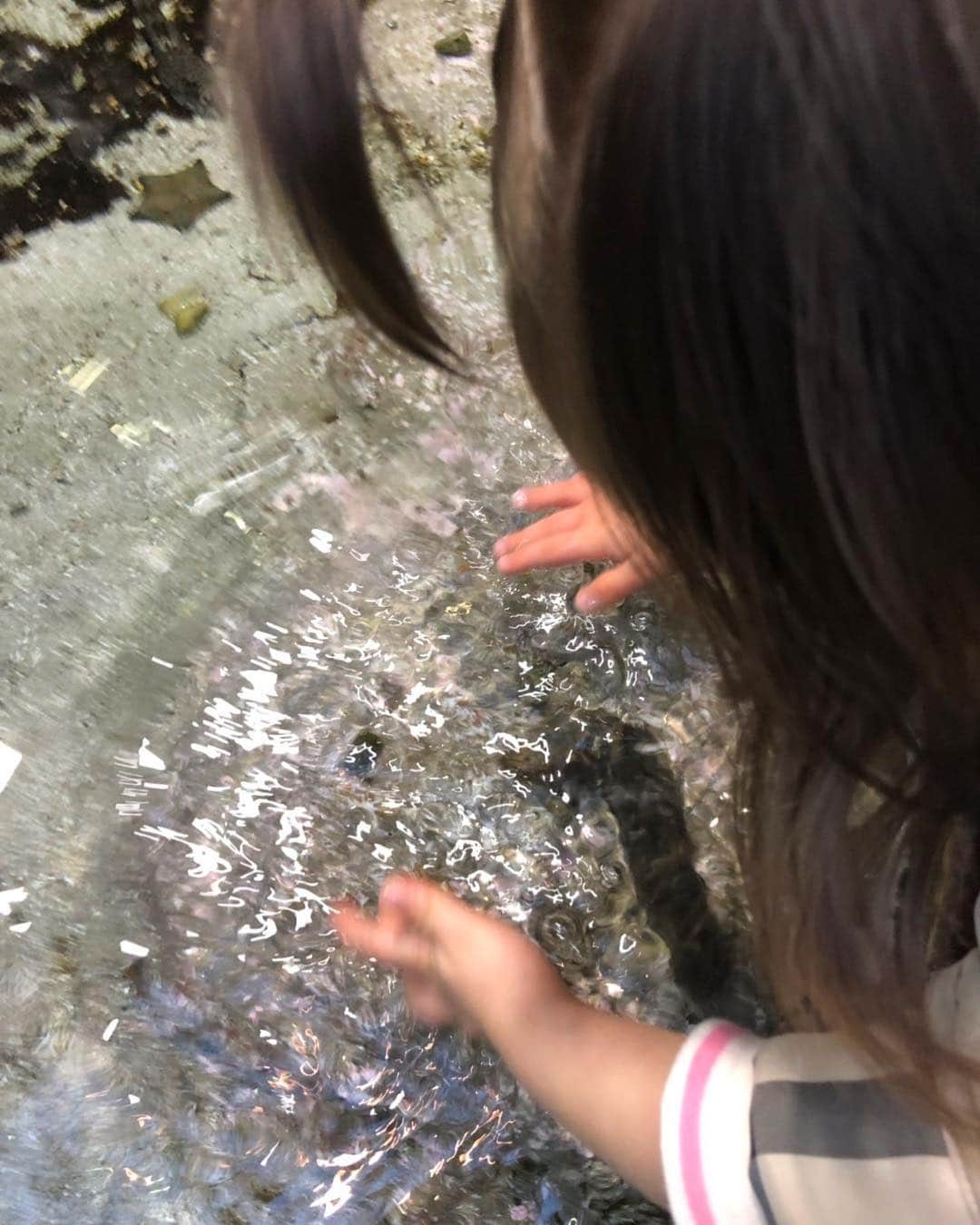舟橋菜々さんのインスタグラム写真 - (舟橋菜々Instagram)「私が仕事で大阪にいる間、ダディと2人で水族館に行ってきたそうです🐬🦀 色んな海の生き物を喜んで見ていたようです👏🏻 今度は3人でも行こうね😊❣️ Her very first aquarium experiment! #aquarium#sea#fish#beautiful#happy#smile#daddy#daughter#cute#love#水族館#海#魚#綺麗#赤ちゃん#子供#娘#1歳8ヶ月#ハーフ#育児#子育て#親バカ部#ベビフル#ママリ#コドモノ」3月18日 12時03分 - wombatnana