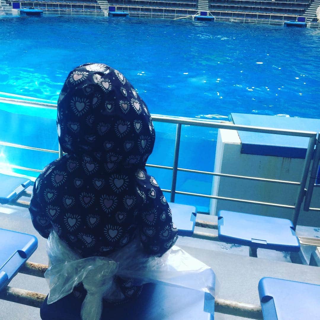 大和田美帆さんのインスタグラム写真 - (大和田美帆Instagram)「#しながわ水族館 #イルカショー ずぶ濡れになります！と言われていた席で、ずぶ濡れになる覚悟で座る3歳児。 . . #こどもとおでかけ#ワガコとおでかけ#３歳６ヶ月#私もレインコートきて#2人でずぶ濡れになりました。」3月18日 12時38分 - miho_ohwada