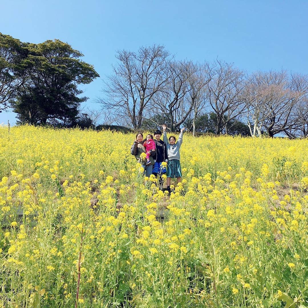美奈子さんのインスタグラム写真 - (美奈子Instagram)「昨日はマザー牧場へ行ってきました◡̈⃝︎⋆︎* 菜の花に囲まれてとても綺麗❤ すこし風が冷たかったけど とても楽しかったー\(◡̈)/ みんなでお出かけ楽しかったなあ。。。 次みんながオフdayの時は 何しようかなあ ワクワクする❤  計画たてとかなきゃ(,,> <,,)♡ ブログの方には 写真何枚か貼ってありまーす◡̈⃝︎⋆︎* #マザー牧場 #菜の花 #楽しかった #美奈子」3月18日 12時46分 - minako_official