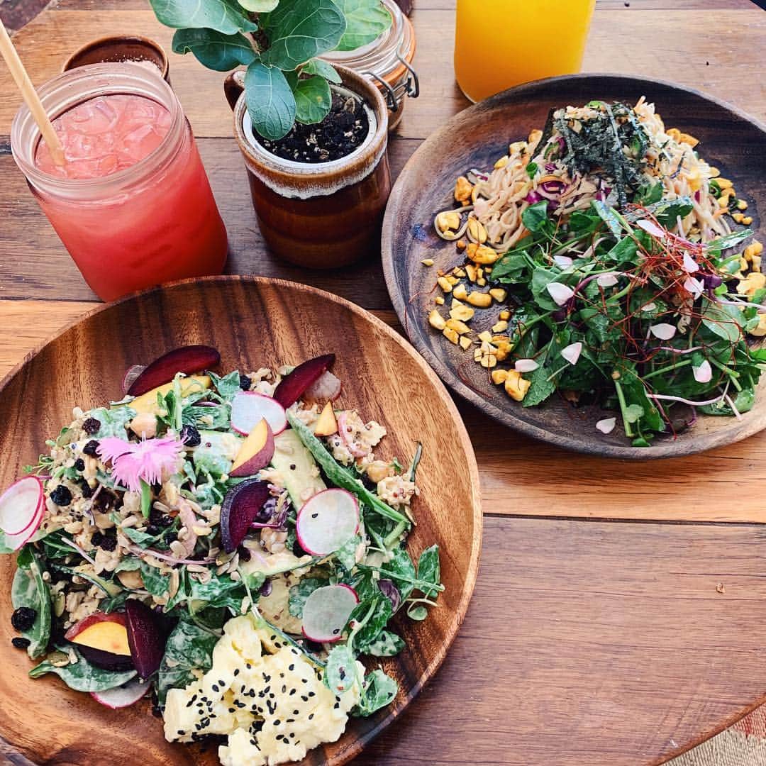 のインスタグラム：「お洒落でオーガニックでゆるーいカフェしかなかった🌿🌼🌿 ごはん全てにキヌアとナッツがはいっている感じ。バイロンベイ、おもしろい！💞 #byronbay#australia#byronbaycafe#organiccafe#trip #バイロンベイ#オーストラリア」