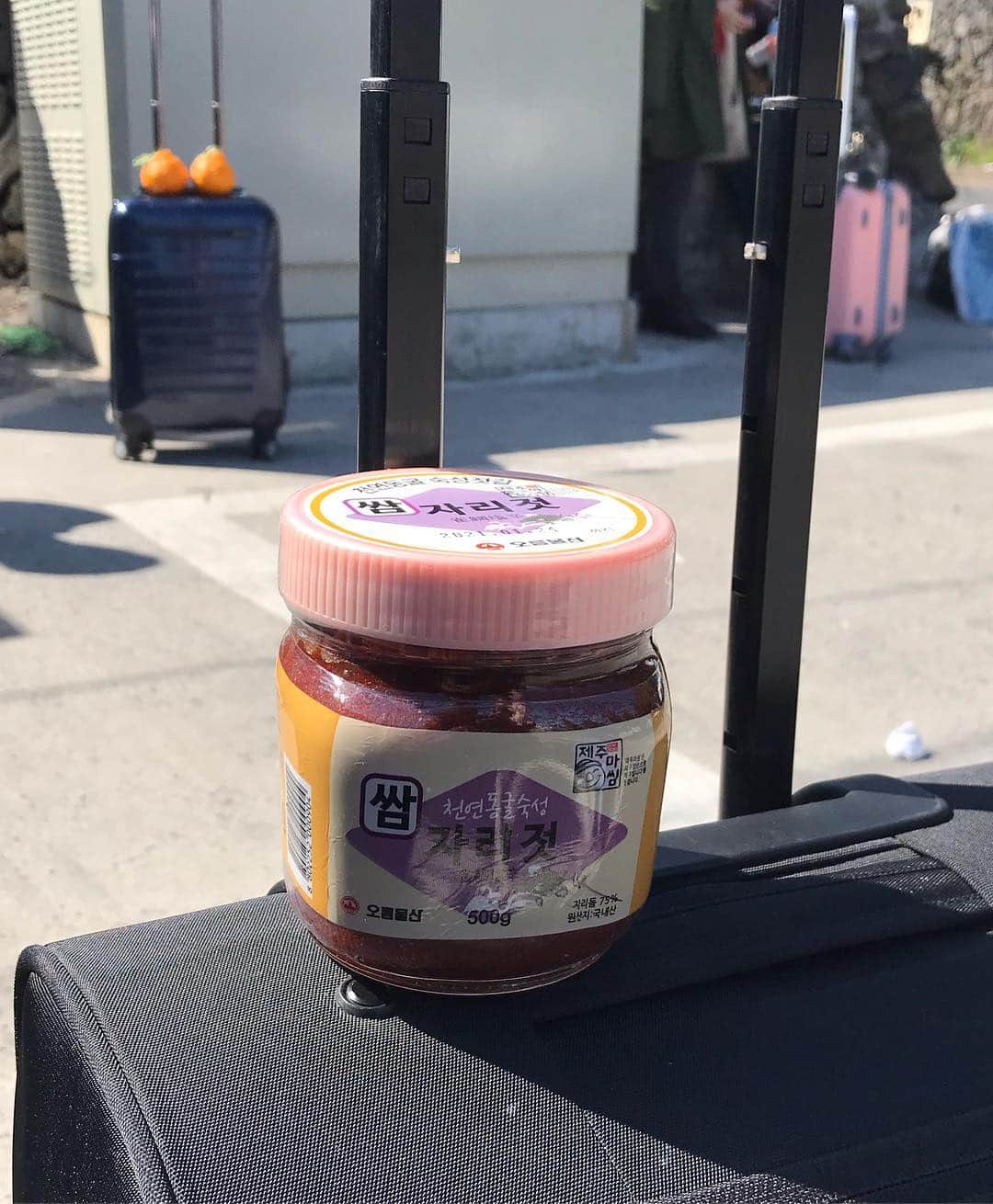 のインスタグラム：「어떤 커플이 예쁘게 한라봉 두개 캐리어에 올려두었길레 나도 올려두어보았다 #자리젓」