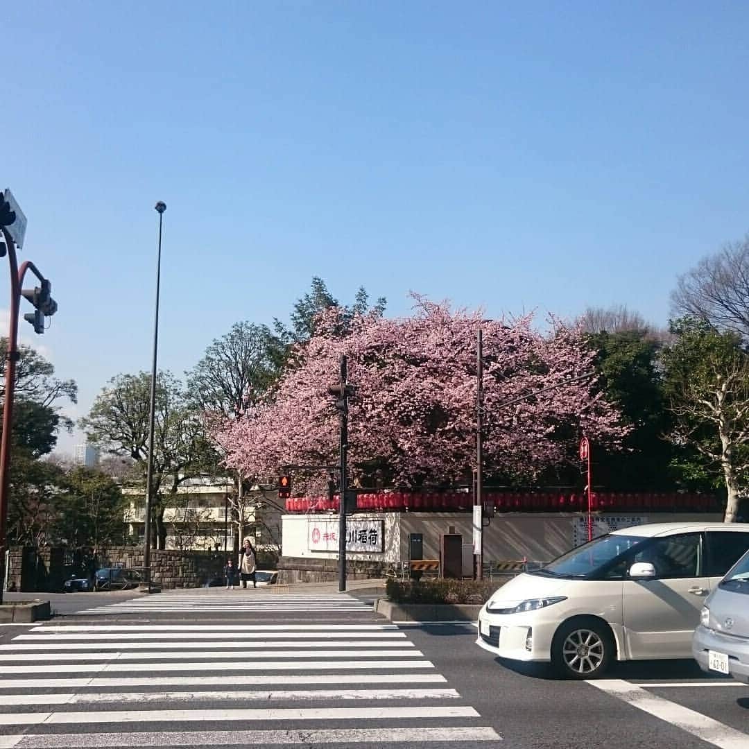 三浦隆一さんのインスタグラム写真 - (三浦隆一Instagram)「春」3月18日 13時06分 - kusoiinkaimiura
