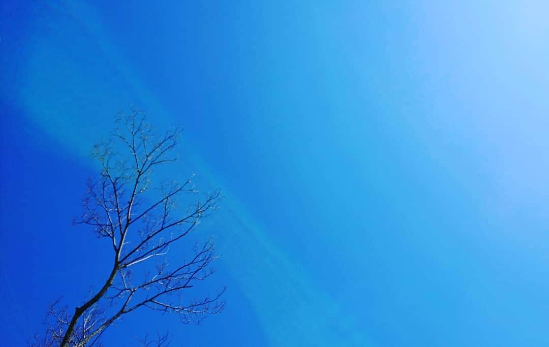 伊勢みずほさんのインスタグラム写真 - (伊勢みずほInstagram)「海みたいな空だな。  #快晴 #晴れ #青空」3月18日 13時18分 - isemizuhoo