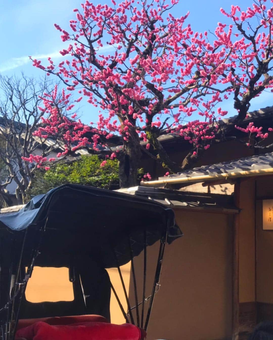 平子理沙さんのインスタグラム写真 - (平子理沙Instagram)「今回の京都の旅で、初めて浮世絵を買いました💕東京に帰って、早速フレームをオーダーしに行きました。完成までしばらくかかるけど出来上がったらアップしますね🌸 東京に帰ってからも、神田にある浮世絵のお店に行ったりと、ロマンあふれる江戸、明治の浮世絵がとても気になっています❣️ #高台寺#てっさい堂#浮世絵#京都旅行#art#travel#lifestyle #beauty #fashion #risahirako#平子理沙」3月18日 13時21分 - risa_hirako