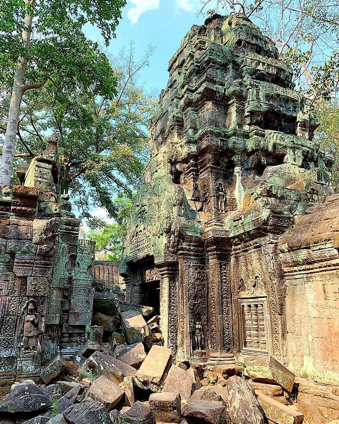 百合華さんのインスタグラム写真 - (百合華Instagram)「今回の１番行きたかったメインの遺跡『タ・プローム』💕 神秘的な『天空の城ラピュタ』の世界観にただただ目を奪われておりました✨  では、百合譁がお目当ての御宝を探しに行きましょう🎶  #cambodia  #siemreap  #worldheritage  #世界遺産 #taprohm  #神秘的 #mysterious  #天空の城ラピュタの #treasurehunt  #宝探し」3月18日 13時41分 - yurika.lovelily