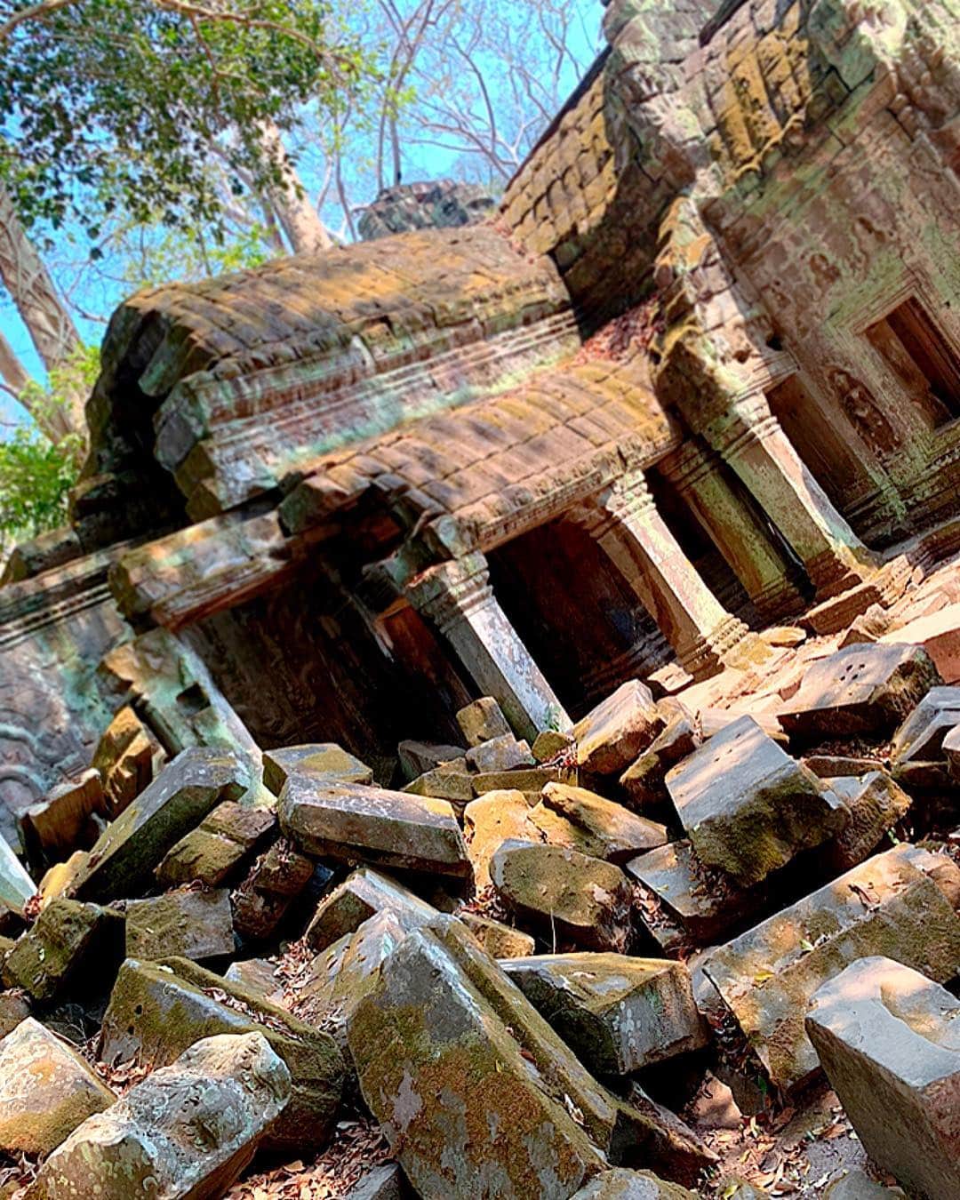 百合華さんのインスタグラム写真 - (百合華Instagram)「今回の１番行きたかったメインの遺跡『タ・プローム』💕 神秘的な『天空の城ラピュタ』の世界観にただただ目を奪われておりました✨  では、百合譁がお目当ての御宝を探しに行きましょう🎶  #cambodia  #siemreap  #worldheritage  #世界遺産 #taprohm  #神秘的 #mysterious  #天空の城ラピュタの #treasurehunt  #宝探し」3月18日 13時41分 - yurika.lovelily