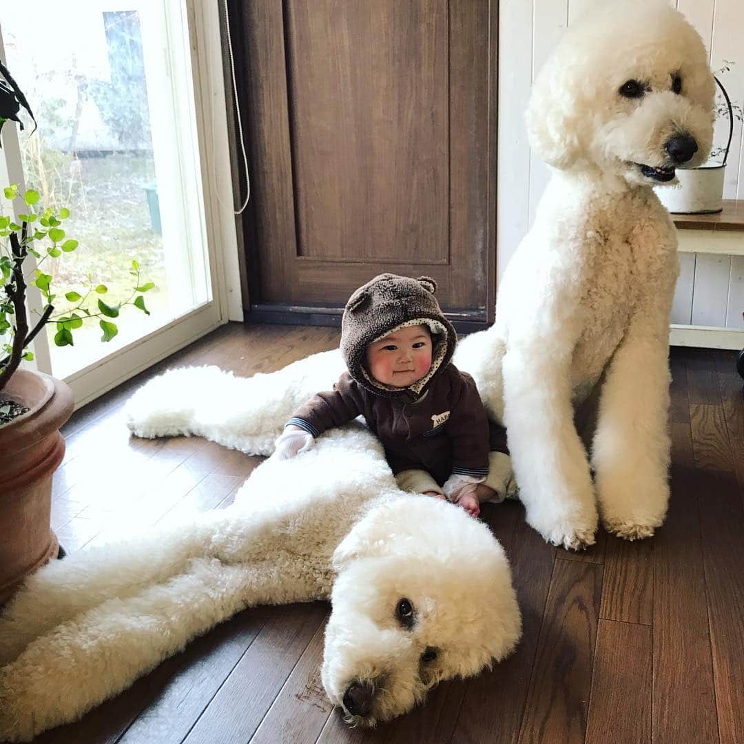 たまねぎのインスタグラム