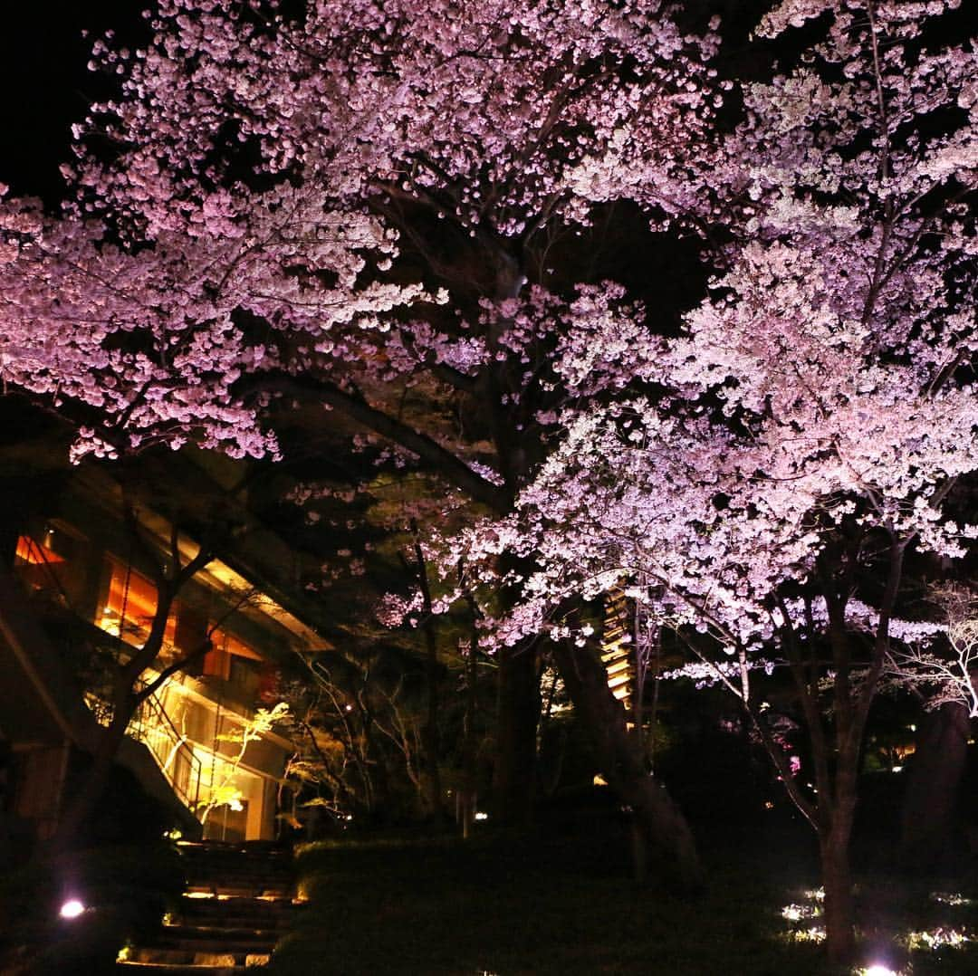 八芳園のインスタグラム