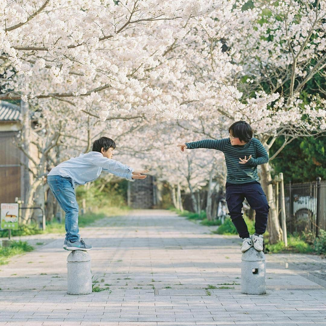 濱田英明さんのインスタグラム写真 - (濱田英明Instagram)「2018 #haruandmina #pentax67」3月19日 0時16分 - hamadahideaki