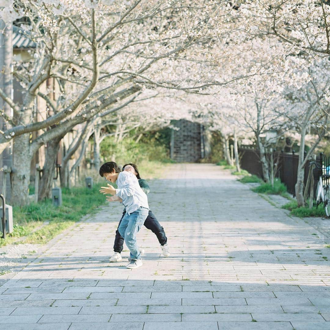 濱田英明さんのインスタグラム写真 - (濱田英明Instagram)「2018 #haruandmina #pentax67」3月19日 0時16分 - hamadahideaki