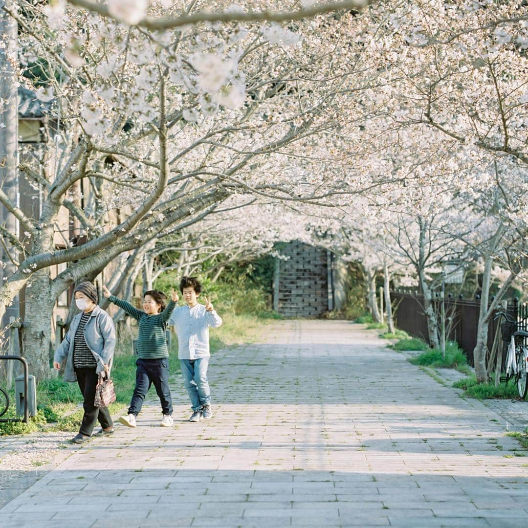 濱田英明のインスタグラム：「2018 #haruandmina #pentax67」